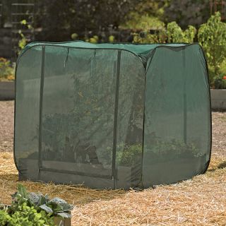 Pest Control Pop-Up Thumbnail